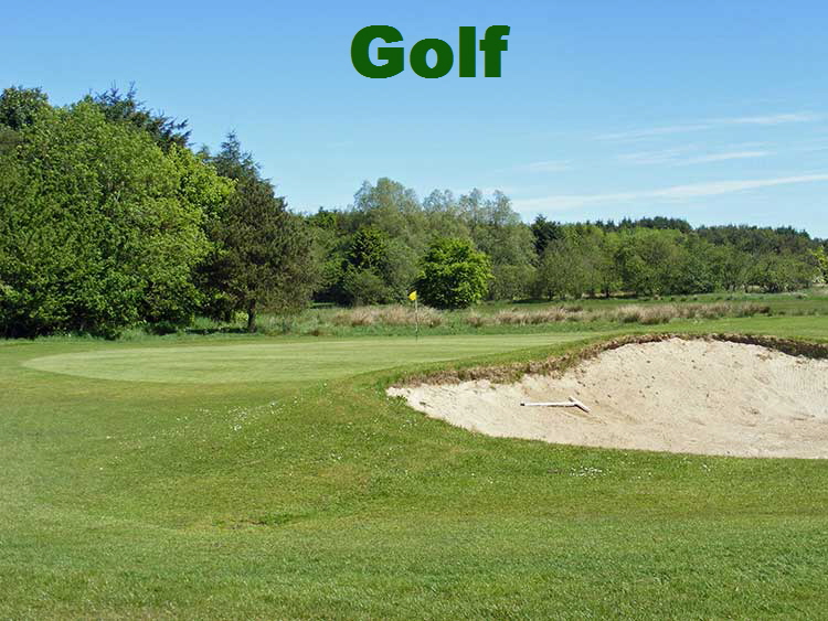 1203620_56219664-Golf
